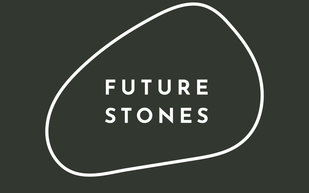 Future stones logo design